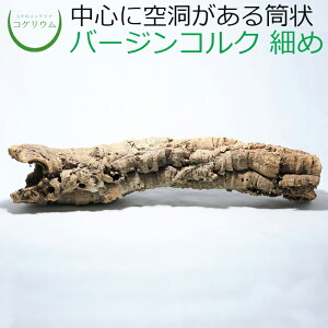 流木 苔 観葉植物の人気商品 通販 価格比較 価格 Com 流木 苔 観葉植物の人気商品 通販 価格比較 価格 Com