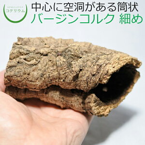 流木 苔 観葉植物の人気商品 通販 価格比較 価格 Com