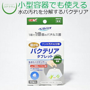 yeE RPE ANAE ANAeE  RP ۃeE ۃE  ߃oNeA oNeA ϗtA | nChJ`[ O[ CeA ΁z A