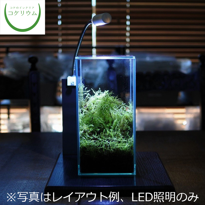 観葉植物 LED 照明 - DIY・工具の人気商品・通販・価格比較 - 価格.com