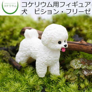 yϗtA  ~j eE tBMA ~jϗt RPE  RP ۃeE ۃE ANAE ANAeE | nChJ`[ K[fjO O[ C