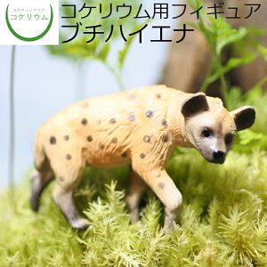 yϗtA  ~j eE tBMA ~jϗt RPE  RP ۃeE ۃE ANAE ANAeE | nChJ`[ K[fjO O[ C