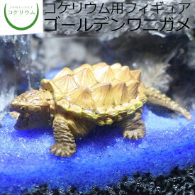 楽天市場 ゴールデンワニガメの通販 楽天市場 ゴールデンワニガメの通販