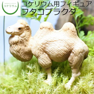 yϗtA  ~j eE tBMA ~jϗt RPE  RP ۃeE ۃE ANAE ANAeE | nChJ`[ K[fjO O[ C