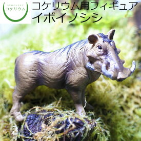 楽天市場 イボイノシシ イノシシの通販