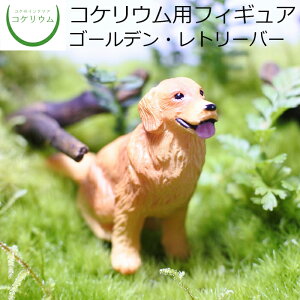 �y�ϗt�A�� ������� �~�j �e�����E�� �t�B�M���A �~�j�ϗt �R�P���E�� �� �R�P �ۃe�����E�� �ۃ��E�� �A�N�A���E�� �A�N�A�e�����E�� ���| �n�C�h���J���`���[ �K�[�f�j���O �O���[�� �C