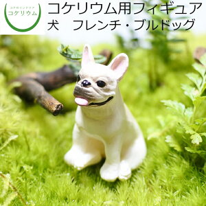 yϗtA  ~j eE tBMA ~jϗt RPE  RP ۃeE ۃE ANAE ANAeE | nChJ`[ K[fjO O[ C