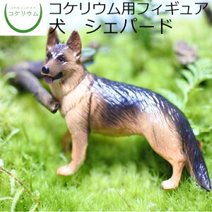 yϗtA  ~j eE tBMA ~jϗt RPE  RP ۃeE ۃE ANAE ANAeE | nChJ`[ K[fjO O[ C