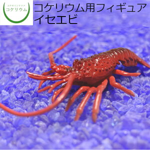 yϗtA  ~j eE tBMA ~jϗt RPE  RP ۃeE ۃE ANAE ANAeE | nChJ`[ K[fjO O[ C