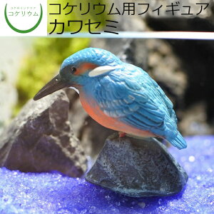 yϗtA  ~j eE tBMA ~jϗt RPE  RP ۃeE ۃE ANAE ANAeE | nChJ`[ K[fjO O[ C