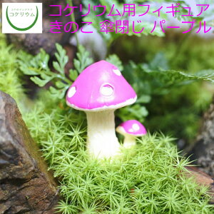 yϗtA  ~j eE tBMA ~jϗt RPE  RP ۃeE ۃE ANAE ANAeE | nChJ`[ K[fjO O[ C