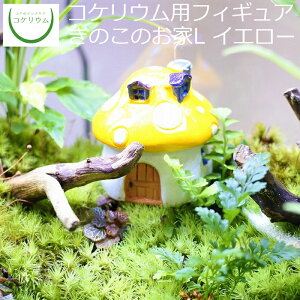 テラリウム おしゃれ 観葉植物の通販 価格比較 価格 Com