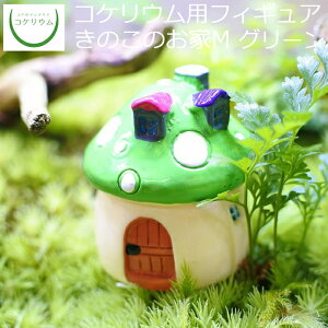 yϗtA  ~j eE tBMA ~jϗt RPE  RP ۃeE ۃE ANAE ANAeE | nChJ`[ K[fjO O[ C