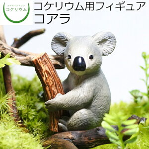 yϗtA  ~j eE tBMA ~jϗt RPE  RP ۃeE ۃE ANAE ANAeE | nChJ`[ K[fjO O[ C