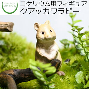 yϗtA  ~j eE tBMA ~jϗt RPE  RP ۃeE ۃE ANAE ANAeE | nChJ`[ K[fjO O[ C