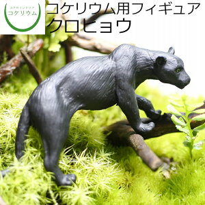 yϗtA  ~j eE tBMA ~jϗt RPE  RP ۃeE ۃE ANAE ANAeE | nChJ`[ K[fjO O[ C