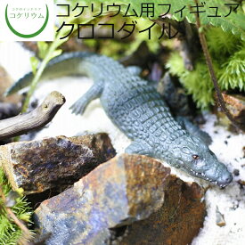 【観葉植物 おしゃれ ミニ テラリウム フィギュア ミニ観葉 コケリウム 苔 コケ 苔テラリウム 苔リウム アクアリウム アクアテラリウム 園芸 ハイドロカルチャー ガーデニング グリーン インテリア 緑 苔盆栽 癒し moss 初心者】 コケリウムフィギュア クロコダイル