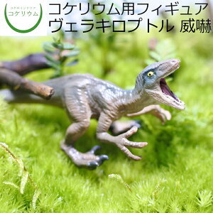 yϗtA  ~j eE tBMA ~jϗt RPE  RP ۃeE ۃE ANAE ANAeE | nChJ`[ K[fjO O[ C