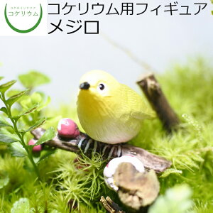 yϗtA  ~j eE tBMA ~jϗt RPE  RP ۃeE ۃE ANAE ANAeE | nChJ`[ K[fjO O[ C