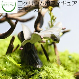 楽天市場 リウム 観葉植物 花 観葉植物 花 ガーデン Diyの通販