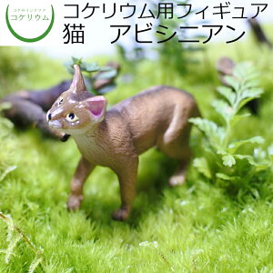 yϗtA  ~j eE tBMA ~jϗt RPE  RP ۃeE ۃE ANAE ANAeE | nChJ`[ K[fjO O[ C