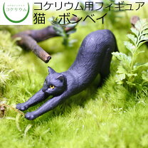 楽天市場】猫 テラリウムの通販