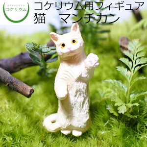 yϗtA  ~j eE tBMA ~jϗt RPE  RP ۃeE ۃE ANAE ANAeE | nChJ`[ K[fjO O[ C