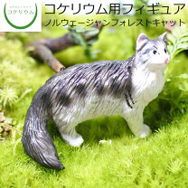 楽天市場】苔 テラリウム 猫の通販