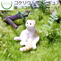 楽天市場】苔 テラリウム 猫の通販