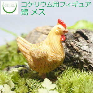 yϗtA  ~j eE tBMA ~jϗt RPE  RP ۃeE ۃE ANAE ANAeE | nChJ`[ K[fjO O[ C