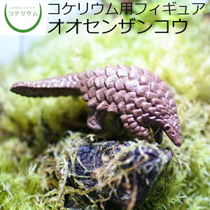 yϗtA  ~j eE tBMA ~jϗt RPE  RP ۃeE ۃE ANAE ANAeE | nChJ`[ K[fjO O[ C