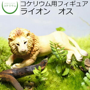 yϗtA  ~j eE tBMA ~jϗt RPE  RP ۃeE ۃE ANAE ANAeE | nChJ`[ K[fjO O[ C