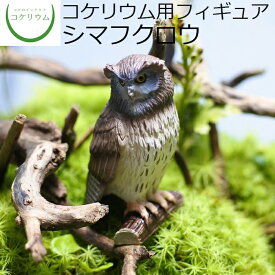 【観葉植物 おしゃれ ミニ テラリウム フィギュア ミニ観葉 コケリウム 苔 コケ 苔テラリウム 苔リウム アクアリウム アクアテラリウム 園芸 ハイドロカルチャー ガーデニング グリーン インテリア 緑 苔盆栽 癒し moss 初心者】 コケリウムフィギュア シマフクロウ