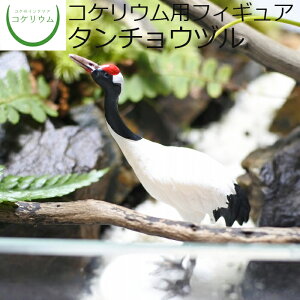 yϗtA  ~j eE tBMA ~jϗt RPE  RP ۃeE ۃE ANAE ANAeE | nChJ`[ K[fjO O[ C