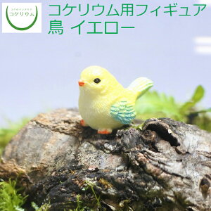 yϗtA  ~j eE tBMA ~jϗt RPE  RP ۃeE ۃE ANAE ANAeE | nChJ`[ K[fjO O[ C