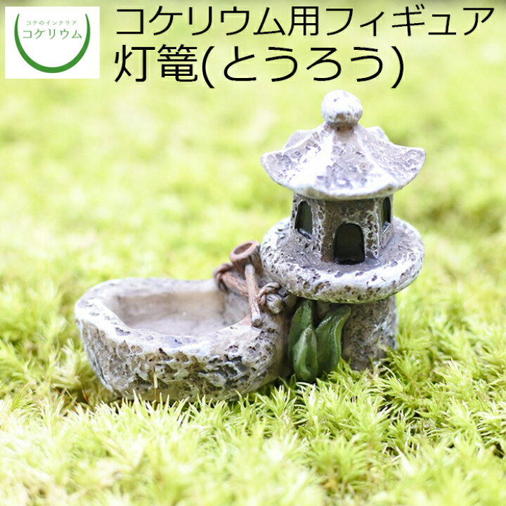 楽天市場 観葉植物 おしゃれ ミニ テラリウム フィギュア ミニ観葉 コケリウム 苔 コケ 苔テラリウム 苔リウム アクアリウム アクアテラリウム 園芸 ハイドロカルチャー ガーデニング グリーン インテリア 緑 苔盆栽 癒し 初心者 コケリウムフィギュア 灯篭 コケの