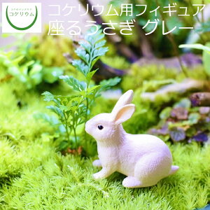 yϗtA  ~j eE tBMA ~jϗt RPE  RP ۃeE ۃE ANAE ANAeE | nChJ`[ K[fjO O[ C