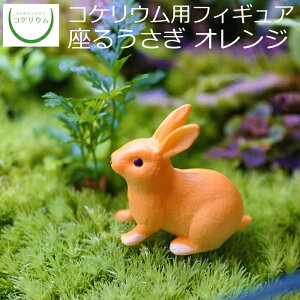 yϗtA  ~j eE tBMA ~jϗt RPE  RP ۃeE ۃE ANAE ANAeE | nChJ`[ K[fjO O[ C