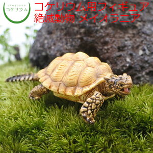 yϗtA  ~j eE tBMA ~jϗt RPE  RP ۃeE ۃE ANAE ANAeE | nChJ`[ K[fjO O[ C