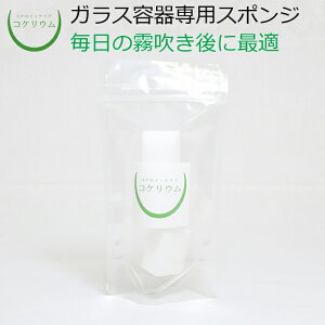 yeE ANAeE RPE  RP ۃeE ۃE ANAE ϗtA | nChJ`[ K[fjO KXe | KX O[ CeA