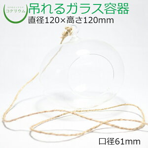 yeE KXe RPE  RP ۃeE ۃE ANAE ANAeE  ϗtA | nChJ`[ K[fjO O[ CeA  ۖ~ 