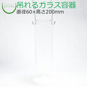 yeE KXe RPE  RP ۃeE ۃE ANAE ANAeE  ϗtA | nChJ`[ K[fjO O[ CeA  ۖ~ 