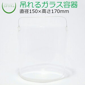 yeE KXe RPE  RP ۃeE ۃE ANAE ANAeE  ϗtA | nChJ`[ K[fjO O[ CeA  ۖ~ 