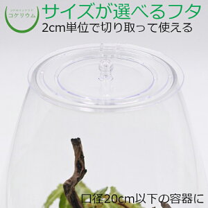 yt^ vt^ ~` W eE RPE  RP ۃeE ۃE ANAE ANAeE ϗtA | nChJ`[ K[fjO O[ CeA  