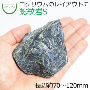 【テラリウム コケリウム 苔 コケ 苔テラリウム 苔リウム アクアリウム アクアテラリウム 観葉植物 園芸 ハイドロカルチャー ガーデニング グリーン インテリア 緑 苔盆栽 癒し moss 天然石