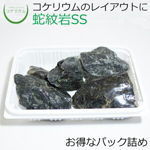 yeE RPE  RP ۃeE ۃE ANAE ANAeE ϗtA | nChJ`[ K[fjO O[ CeA  ۖ~  moss VR 