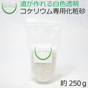 yeE RPE  RP ۃeE ۃE ANAE ANAeE ϗtA | nChJ`[ K[fjO O[ CeA  ۖ~  moss S 