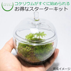 y eE Lbg RPE  RP ۃeE ۃE ANAE ANAeE ϗtA | nChJ`[ K[fjO O[ CeA  ۖ~ 