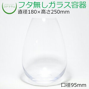 yeE KXe RPE  RP ۃeE ۃE ANAE ANAeE  ϗtA | nChJ`[ K[fjO O[ CeA  ۖ~ 