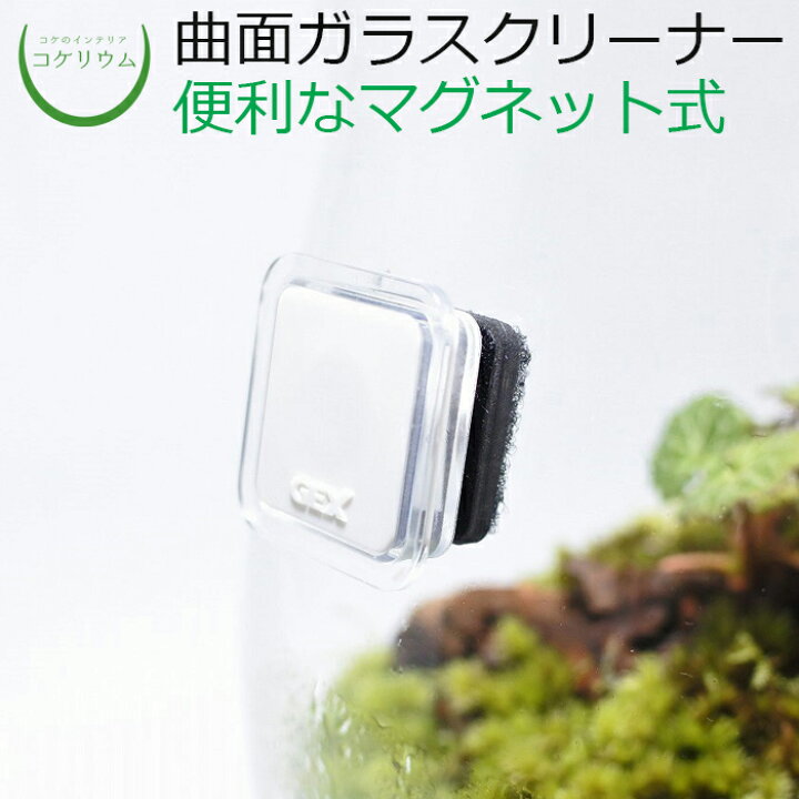 楽天市場 テラリウム アクアテラリウム コケリウム 苔 コケ 苔テラリウム 苔リウム アクアリウム 観葉植物 園芸 ハイドロカルチャー ガーデニング ガラス容器 掃除 ガラス磨き グリーン インテリア 緑 苔盆栽 初心者 曲面ガラスクリーナー コケのインテリア コケリウム 楽天市場 テラリウム アクアテラリウム コケリウム 苔 コケ 苔テラリウム 苔リウム アクアリウム 観葉植物 園芸 ハイドロカルチャー ガーデニング ガラス容器 掃除 ガラス磨き グリーン インテリア 緑 苔盆栽 初心者 曲面ガラスクリーナー コケのインテリア コケリウム